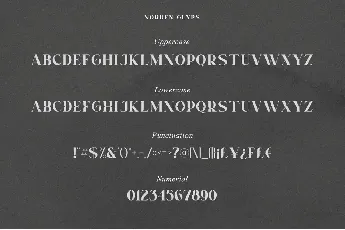 Norden Serif font