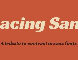 Racing Sans font