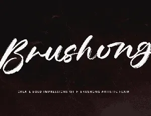 Brushong - Personal use font