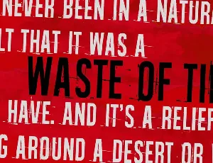 Waste of time font