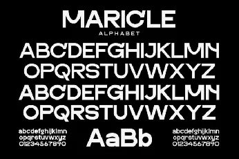 Maricle font