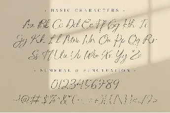 Manfollo font