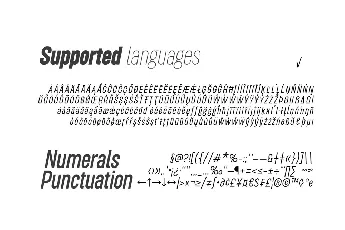 Roundkey Family font