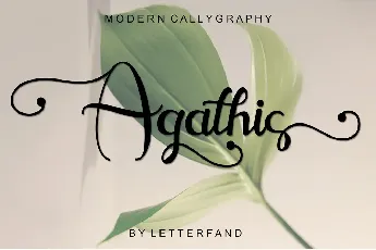 Agathis font