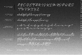 Panther font