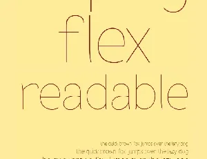 Flex Displays font