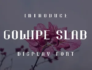 Gowipe Slab font