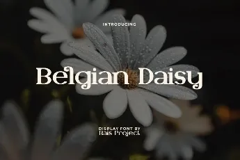 BelgianDaisyDemo font