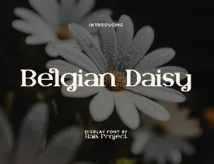 BelgianDaisyDemo font