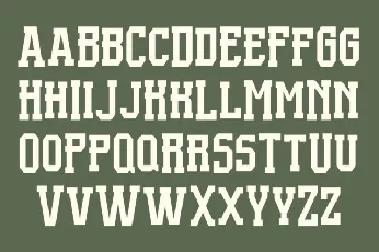 Supportex font