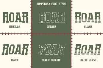 Supportex font