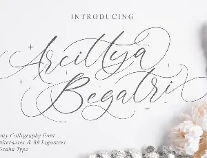 Arcittya Begatri DEMO font