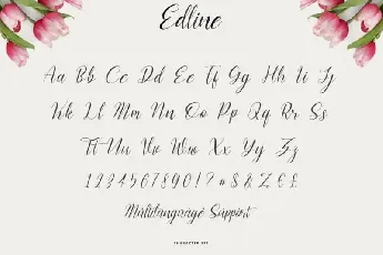 Edline Calligraphy Script font