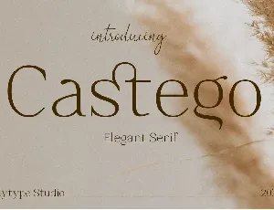 Castego font