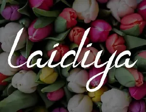 Laidiya Handwritten font