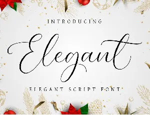 Elegant DEMO font