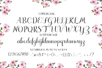 Haydena font