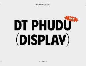 DT Phudu family font