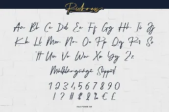 Richness font