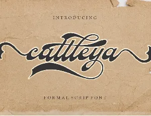 Cattleya font