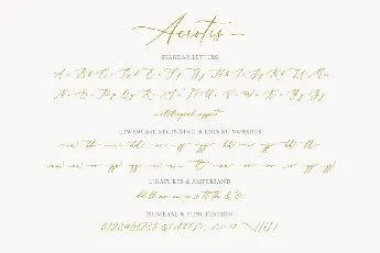 Aerotis Calligraphy font