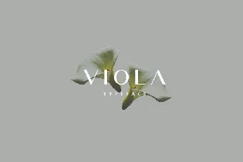 Viola Typeface font