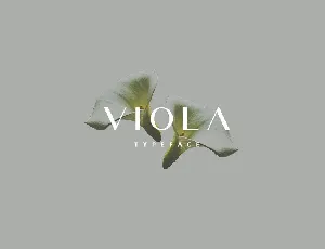 Viola Typeface font