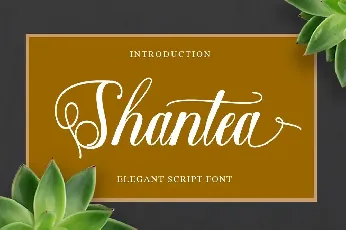 Shantea Script font