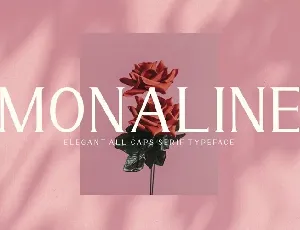 Monaline font