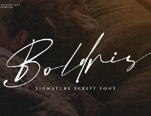 Boldris font