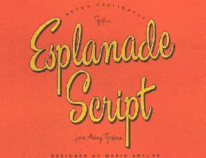 Esplanade Script PERSONAL USE font