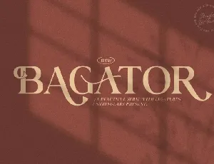 Bagator Serif font