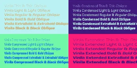 Vinila Family font