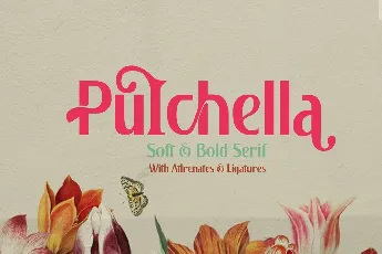 Pulchella font