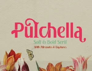 Pulchella font