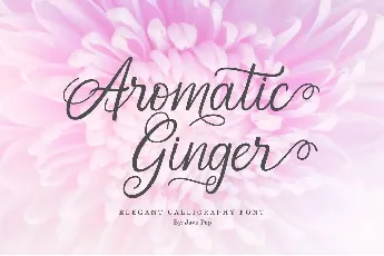 Aromatic Ginger Demo font