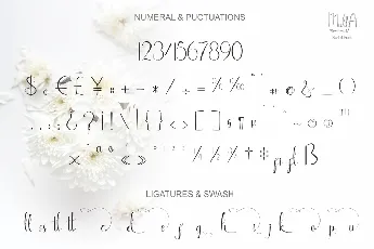 Mulla font