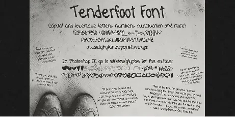 HGTenderfoot font