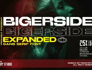 Bigerside font