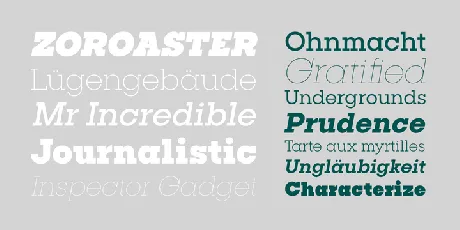 Publica Slab Family font