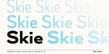 Skie Family font