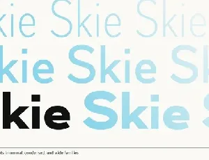 Skie Family font