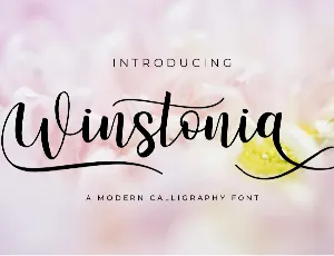 Winstonia font