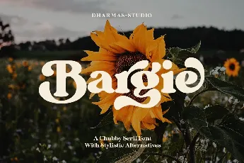 Bargie Serif font