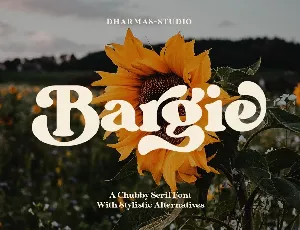 Bargie Serif font