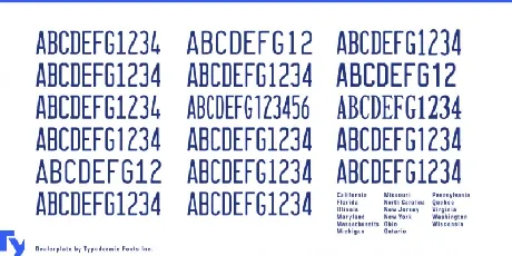 Dealerplate Family font