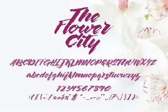 The Flower City Script font