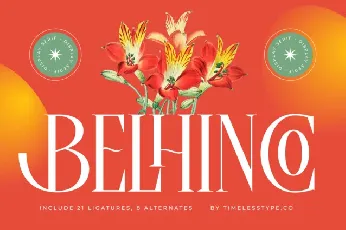 Belhinco Serif font