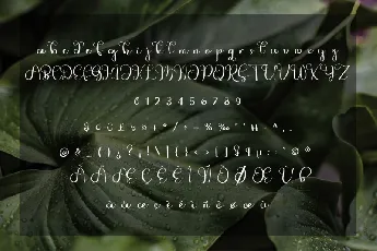 Jungle font