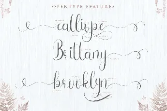 Infinity Gown Calligraphy Script font